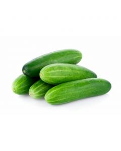 Cucumber Cohombro 1 kg / 2.2 lb