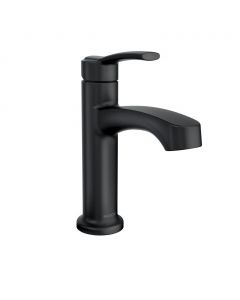 Moen Single Tap Bathroom Faucet